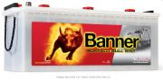BANNER Buffalo Bull SHD 68032